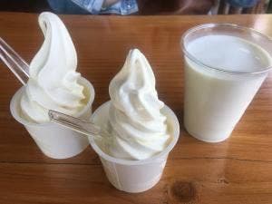 ジャージー牧場 カップル