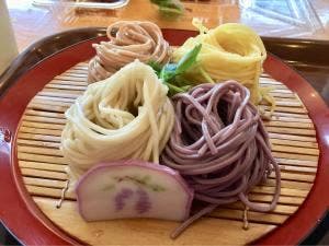 あじさい あしかがフラワーパーク