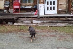 おち庵