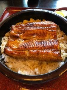 うなぎ割烹 うや川