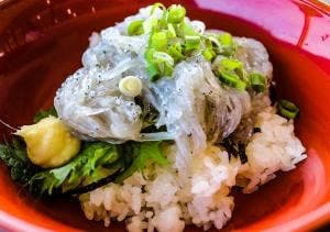幸の字 渚の交流館