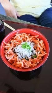 パノラマテラス 海の庭