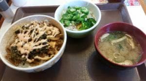 すき家 41号豊山店