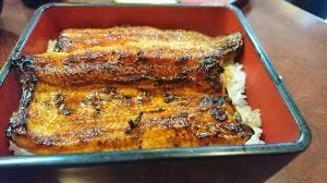 磯屋
