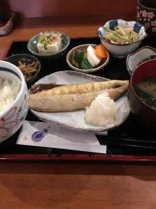 柿之木