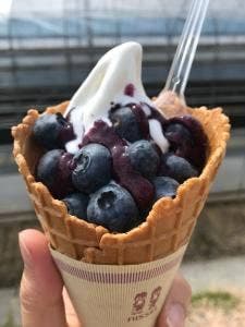 あさむらいちご園