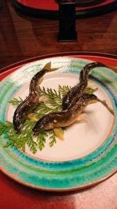 きらく懐石割烹