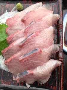 こもぶち うみのいえ こもてらす