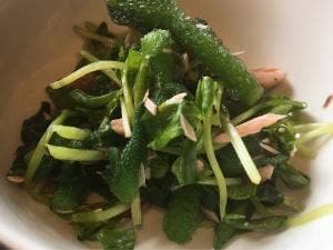 餃子少年