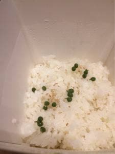 梅の花 PLUS 東京スカイツリータウン・ソラマチ店
