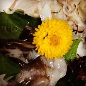 すし智