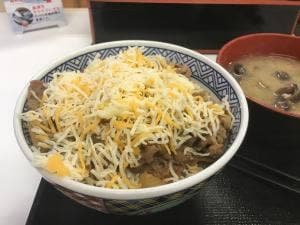吉野家 カインズ結城店