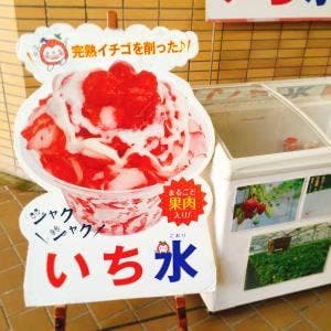 燦燦園