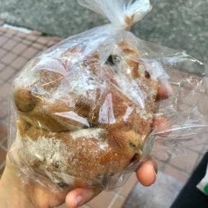 緑と風のダーシェンカ 幸田本店