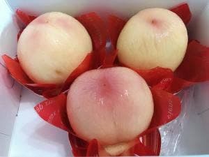 ふらのパティスリートロン