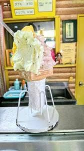 手づくりアイス イタリアンジェラート フレスカ