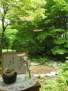 喫茶フィオレンテ
