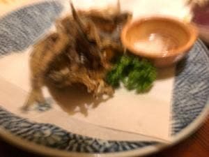 居酒屋 母家