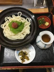 手打の味小泉 苅田店