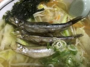 潮騒ラーメン本店