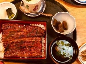 斑鳩