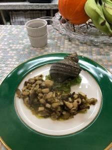 モンキュイジーヌ 