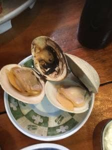 はまなみ