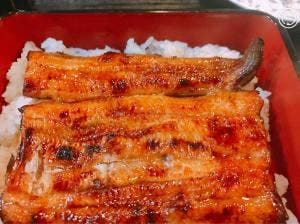 鰻将本店