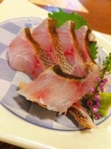 贅沢和食 釣か飯か