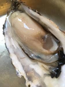 築地カキセンターカキ小屋 築地食堂