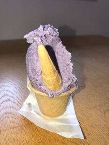 マキノピックランド