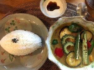 風木野陶