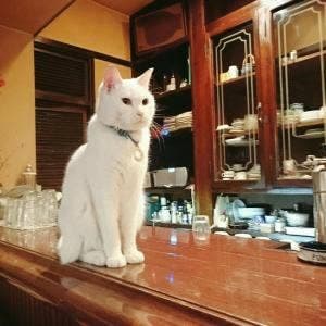 カフェ・ホートン