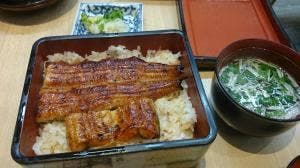 魚治
