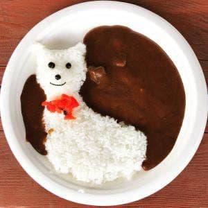アルパカキッチン 八ヶ岳アルパカ牧場