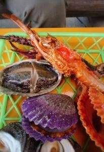 佐田岬灯台ピクニックハウス