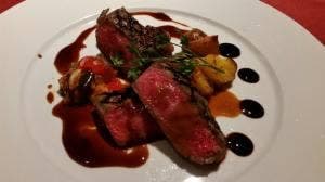 ドッグリゾート ワフ