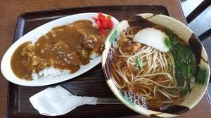 更科