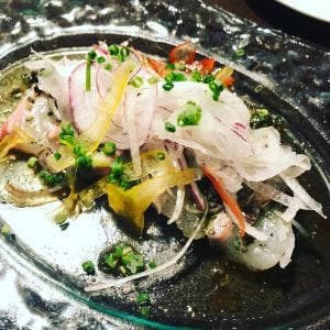 ターヴォラ カルダ モンステラ