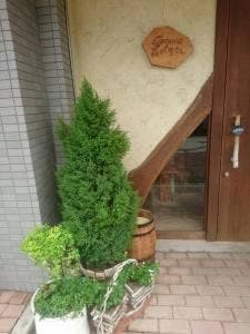 森のくまさん