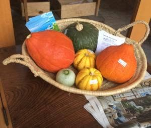 FARM STAND