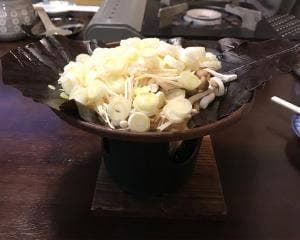 もりのや