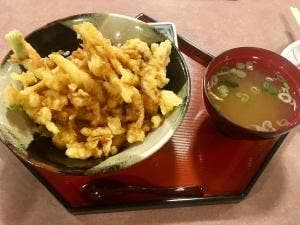 八尾ゆめの森 ゆうゆう館