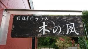CAFEテラス 木の風