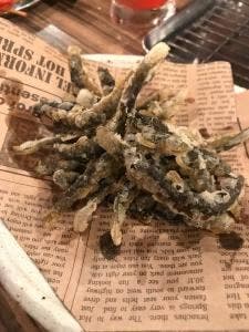 油食来