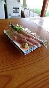 黒羽観光やな
