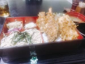 うつ木