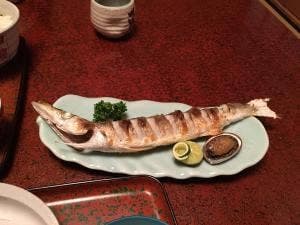 魚処 豆狸
