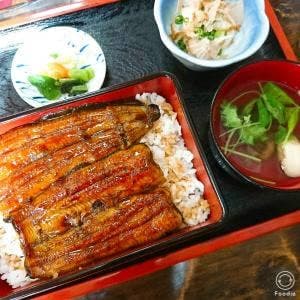 藤家
