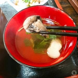 藤家